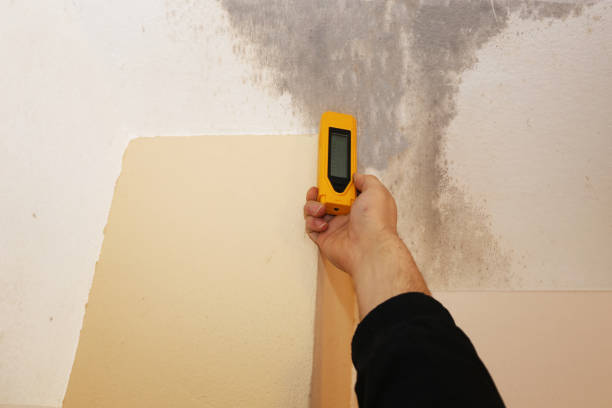  Byram Center, NJ Mold Removal Pros