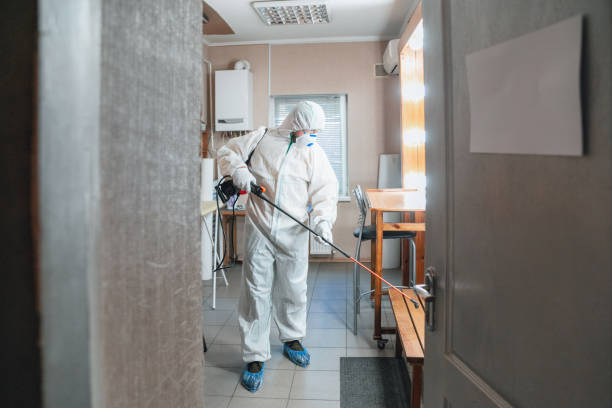 Best Mold Documentation for Insurance Claims  in Byram Center, NJ