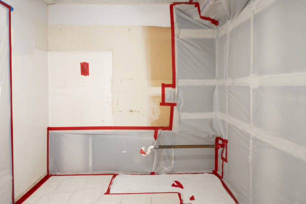 Best Biohazard Mold Removal  in Byram Center, NJ