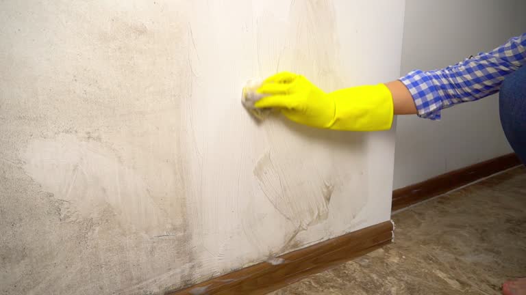 Best Mold Odor Removal Services  in Byram Center, NJ