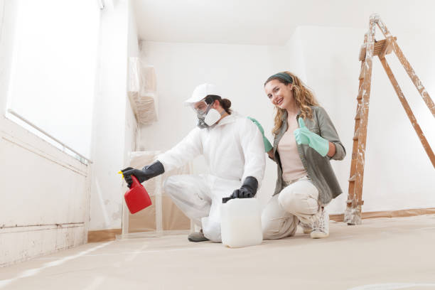 Best Mold Remediation for Healthcare Facilities  in Byram Center, NJ