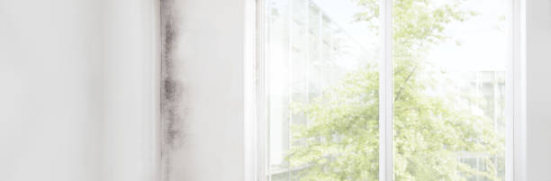 Best HVAC Mold Inspection and Cleaning  in Byram Center, NJ