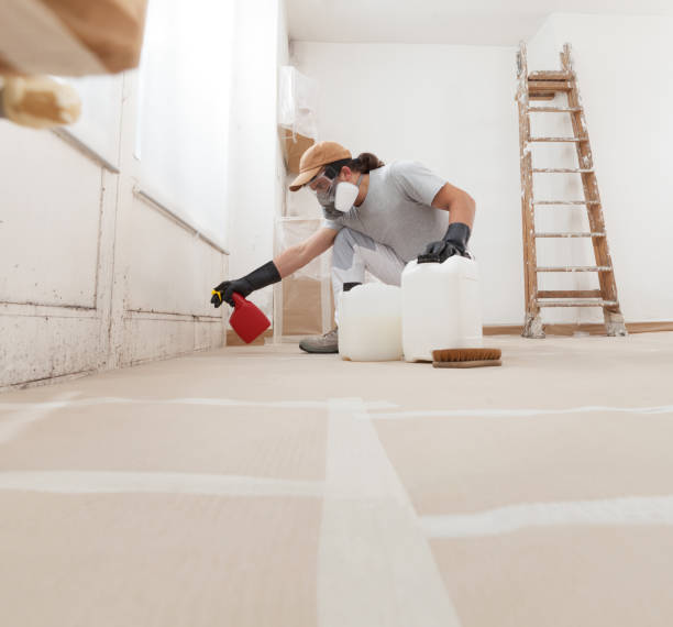 Best Mold Removal for HVAC Installations  in Byram Center, NJ