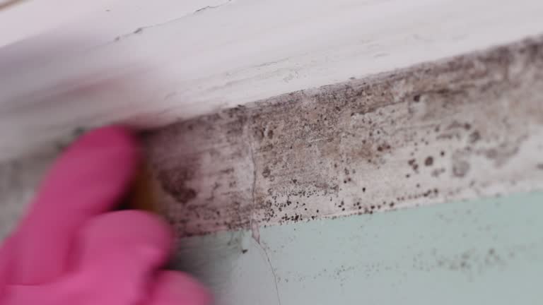 Best Air Quality Testing for Mold Spores  in Byram Center, NJ